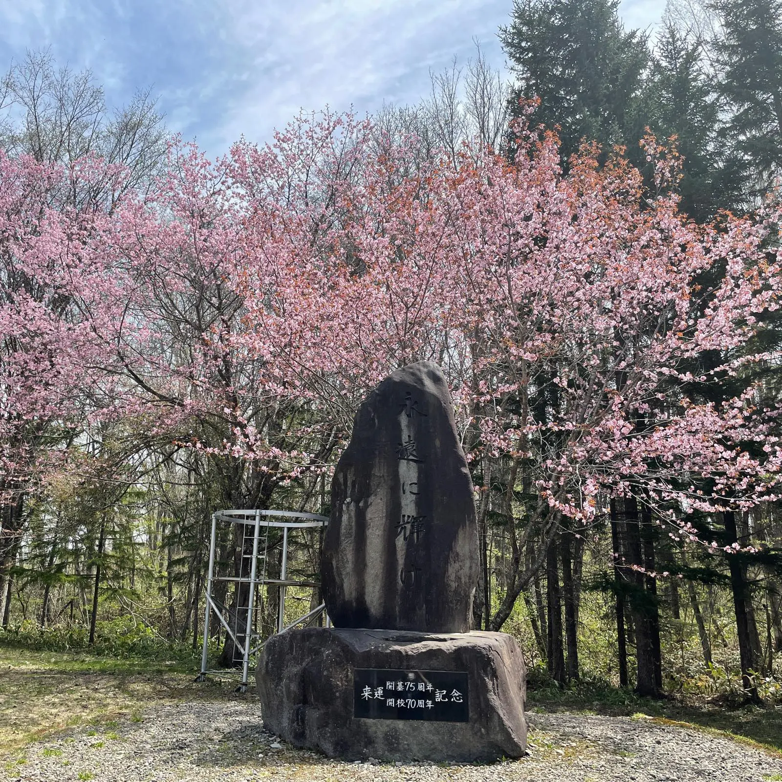 北海道パワスポ来運神社の湧き水で浄めた高純度水晶ブレス（一粒